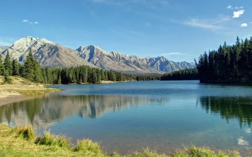 科技智能高效